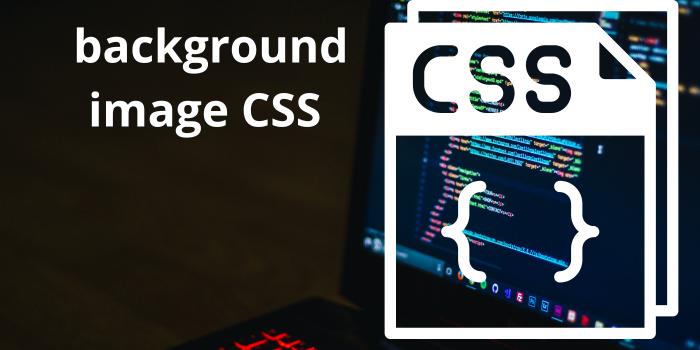 Domina el uso de background image CSS en tus diseños web