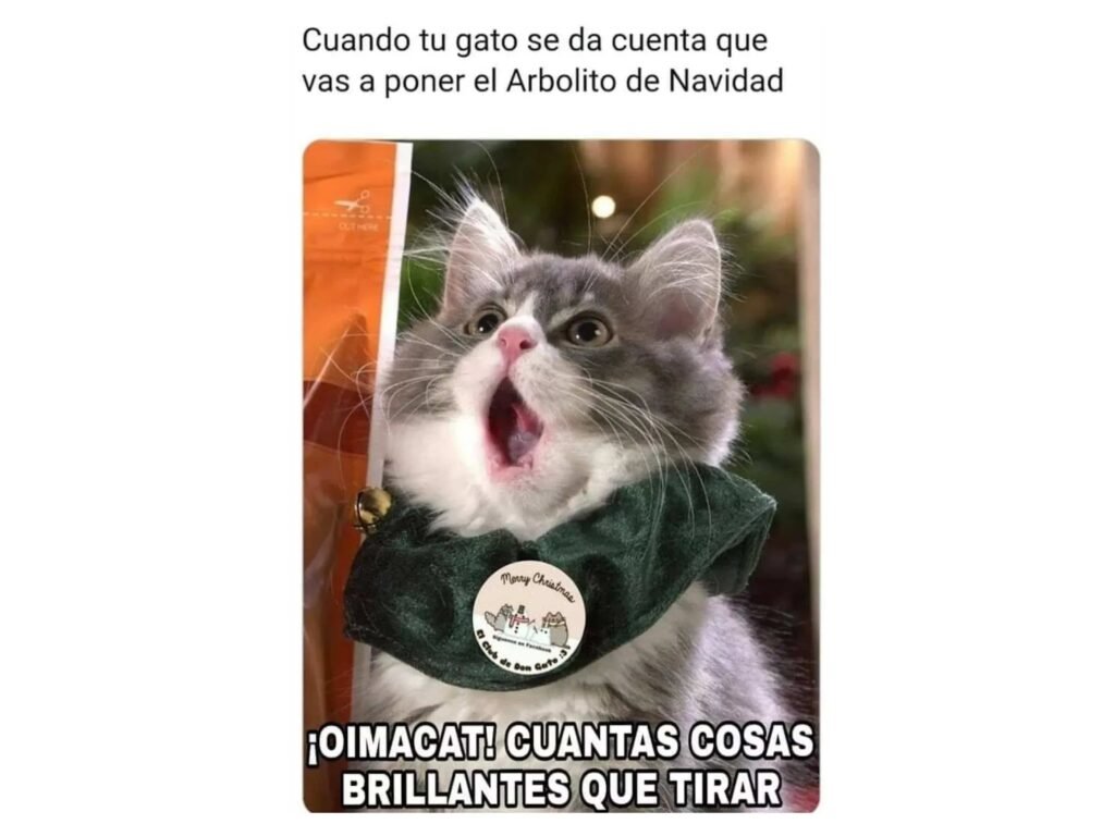 imagenes chistosas de feliz navidad para whatsapp