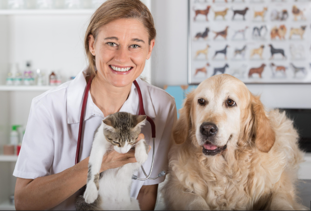 monitorear salud dental de mascotas