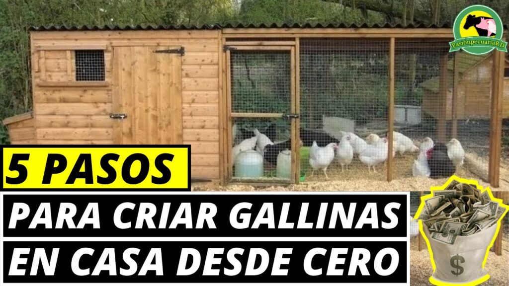 las mejores aplicaciones para criar aves domesticas