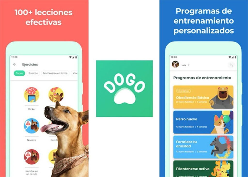 las mejores aplicaciones para ensenar comandos avanzados a perros