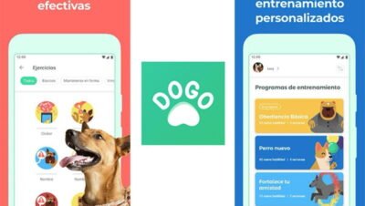 las mejores aplicaciones para ensenar comandos avanzados a perros