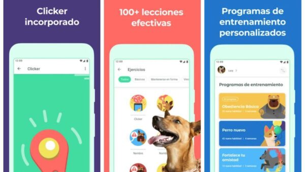 las mejores aplicaciones para ensenar trucos a perros