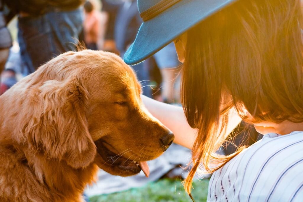 las mejores aplicaciones para fomentar vinculo entre mascotas y duenos