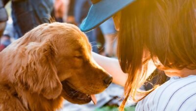 las mejores aplicaciones para fomentar vinculo entre mascotas y duenos