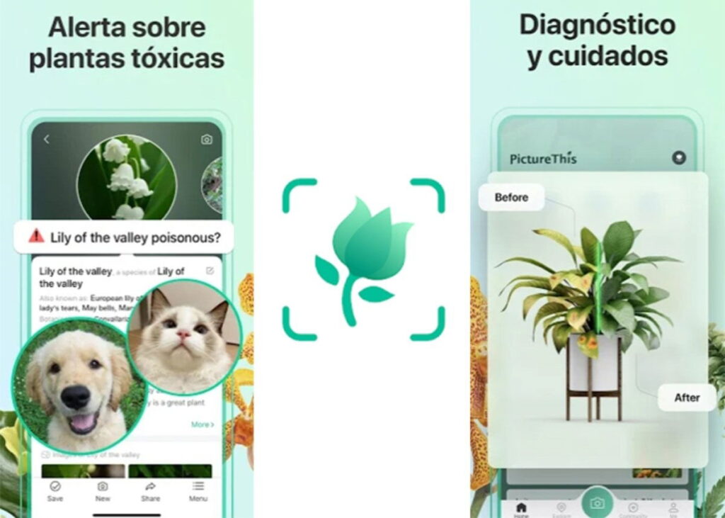 las mejores aplicaciones para identificar plantas toxicas para mascotas