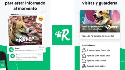 las mejores aplicaciones para preparar viajes con mascotas